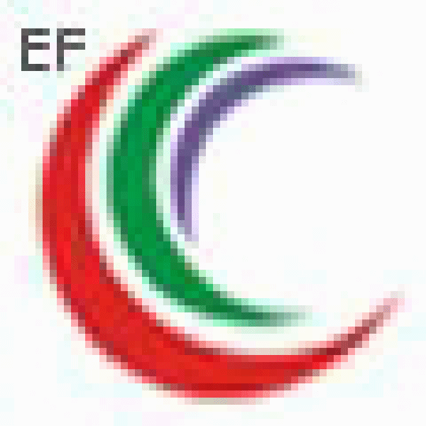 2008第十二屆武漢國(guó)際廣告與傳媒展覽會(huì)<br>第四屆武漢霓虹技術(shù)及LED展覽會(huì)