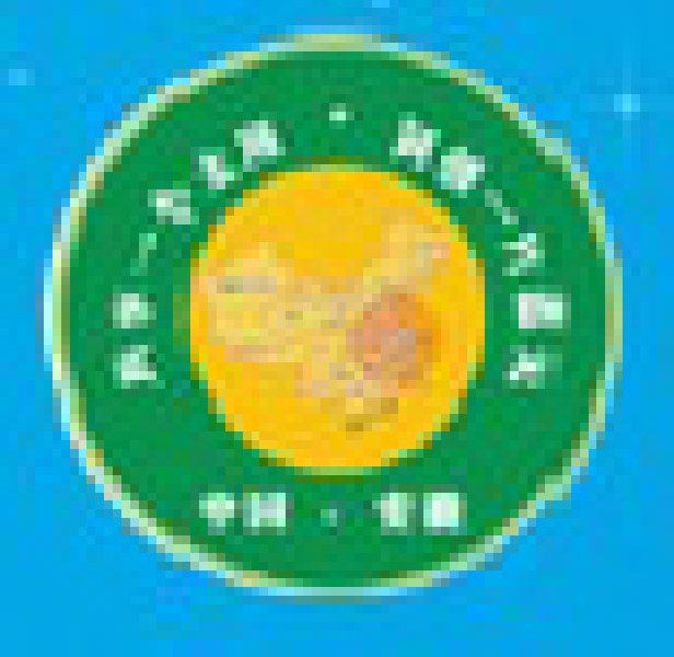 2010中國(合肥)國際太陽能利用產業展覽會暨高峰論壇