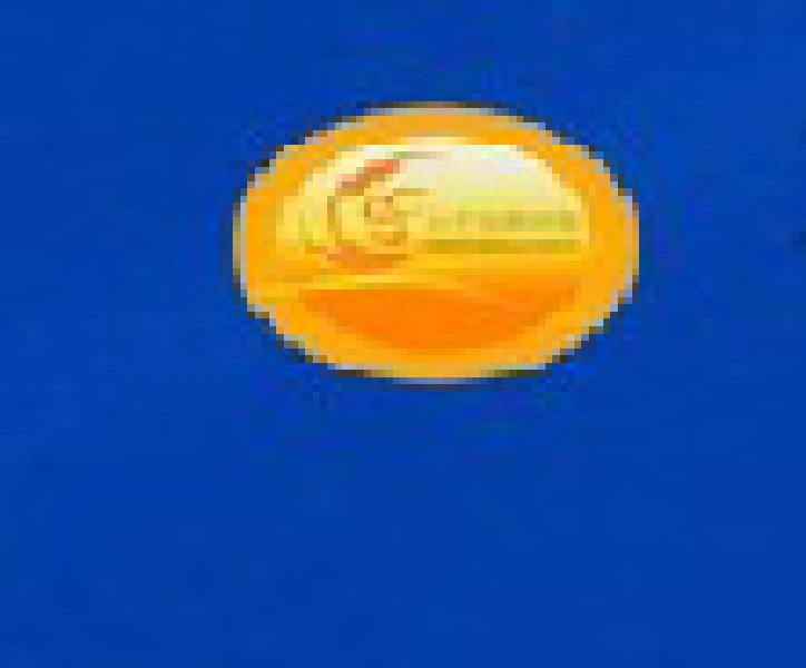 2010第八屆中國青島特許連鎖加盟展覽會(huì)暨2010中國特許加盟展