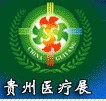 2012第十三屆中國(貴陽)醫療器械、設備與技術展覽會