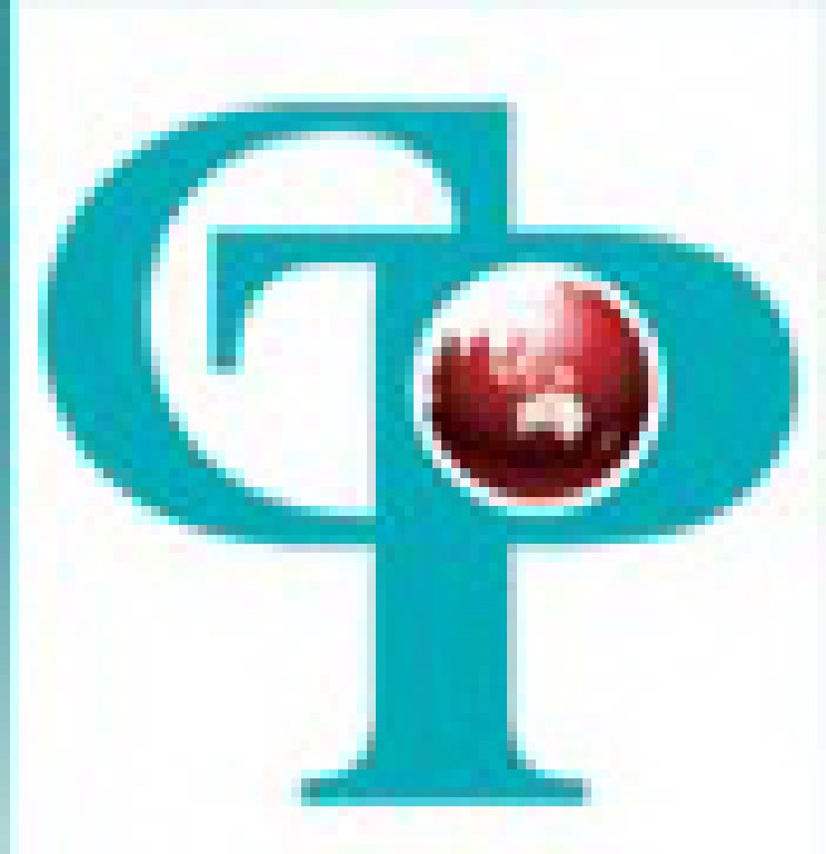 2011第13屆中國(guó)青島國(guó)際動(dòng)力傳動(dòng)與控制技術(shù)展覽會(huì)