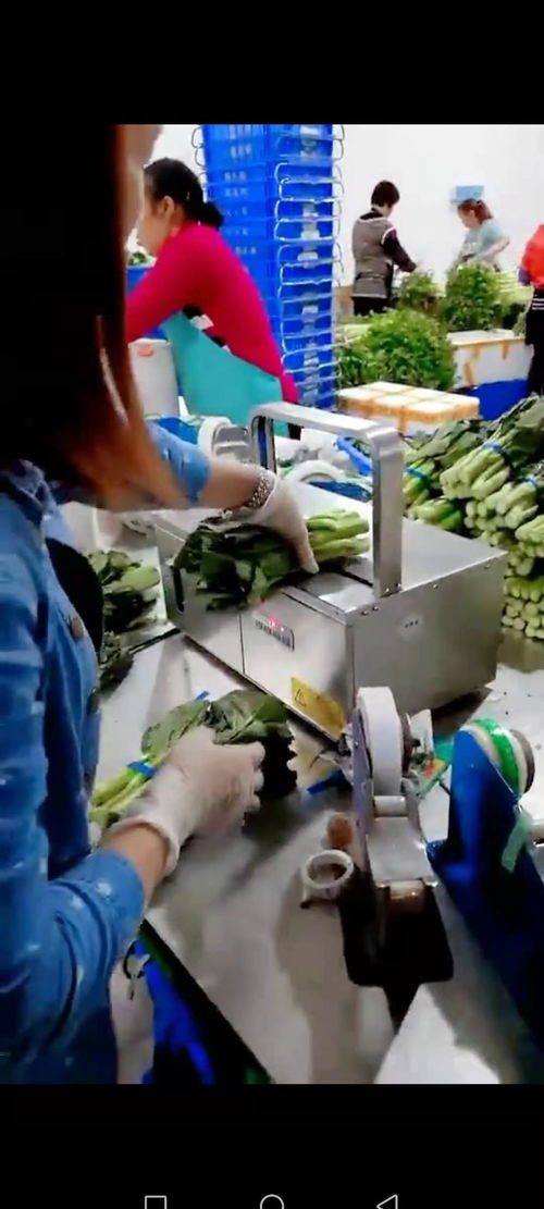 智能設備賦能工廠，銷量翻番的幕后故事